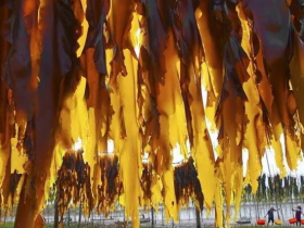 这种菜是很多病克星,还特通便!长寿的人都在吃