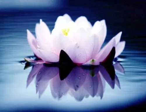 新年说法：我身口意都符合真修行吗？能成就解脱还是遭恶业苦果？