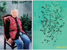 我母亲“唐婆婆”得解脱