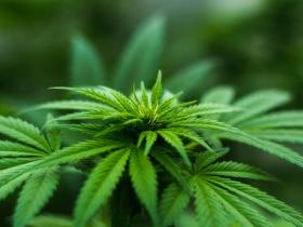 发愿前要谨慎,发了愿要做到