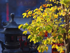 什么叫做因果